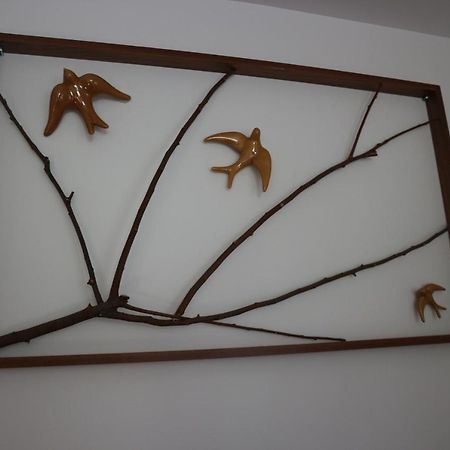 Casa Das Antas 포르투 외부 사진